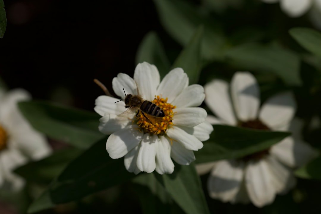 photo-1658778365662-698b8d3ca5e3